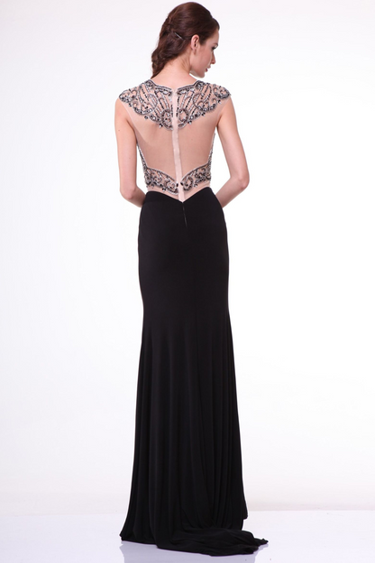 Illusion Bodice and Neckline with Cap Sleeves