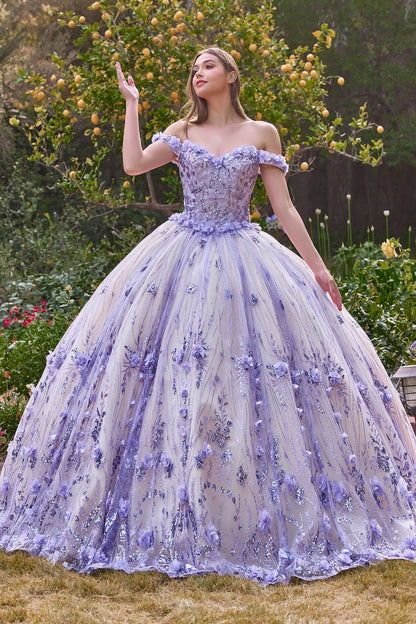 Off The Shoulder Quinceanera Floral Ball Gown