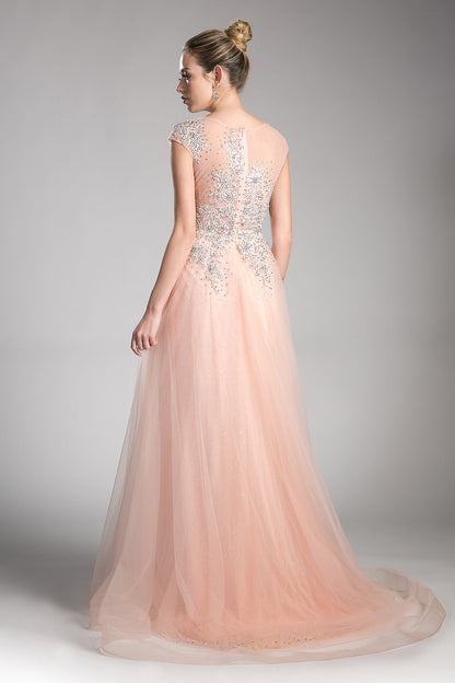 A-line tulle dress with beaded cap sleeve bodice and illusion back