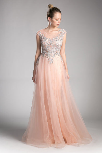 A-line tulle dress with beaded cap sleeve bodice and illusion back