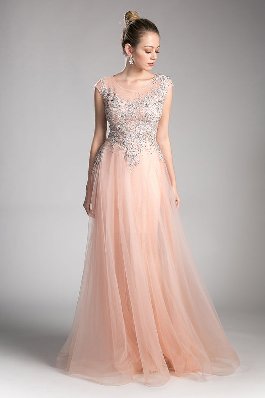 A-line tulle dress with beaded cap sleeve bodice and illusion back