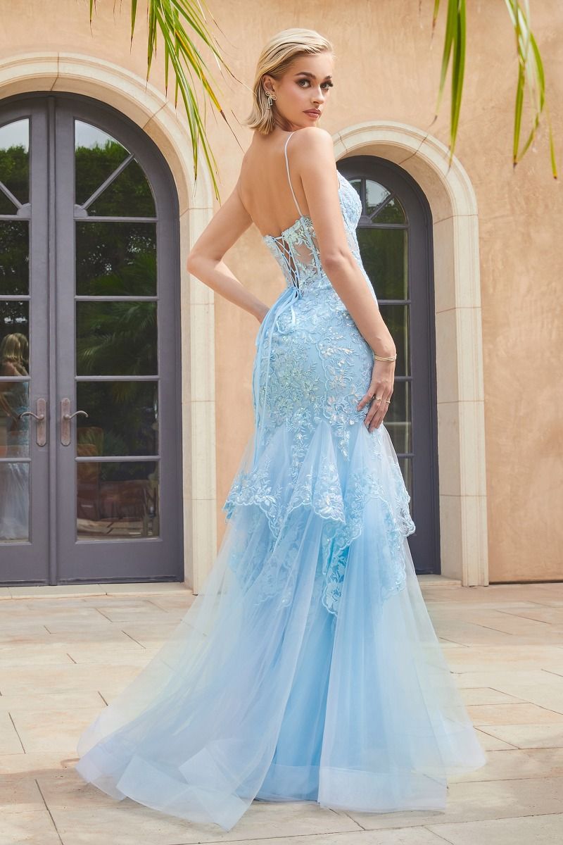 Lace & Tulle Mermaid Gown