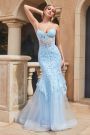 Lace & Tulle Mermaid Gown