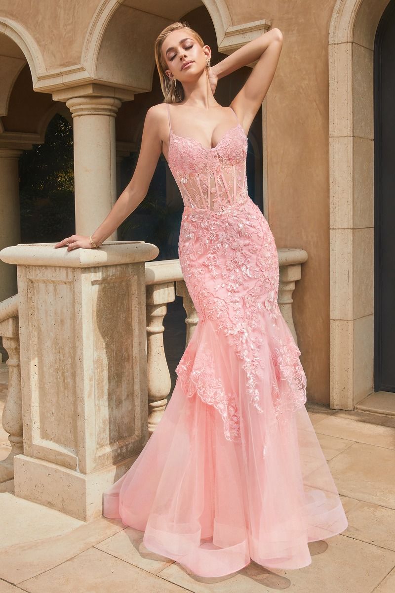 Lace & Tulle Mermaid Gown