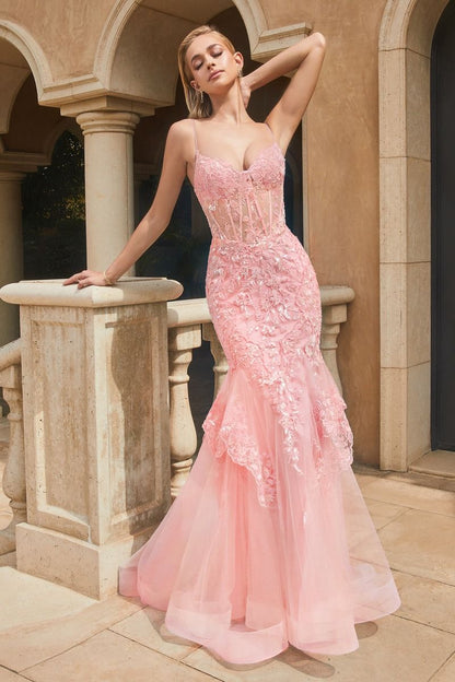 Lace & Tulle Mermaid Gown