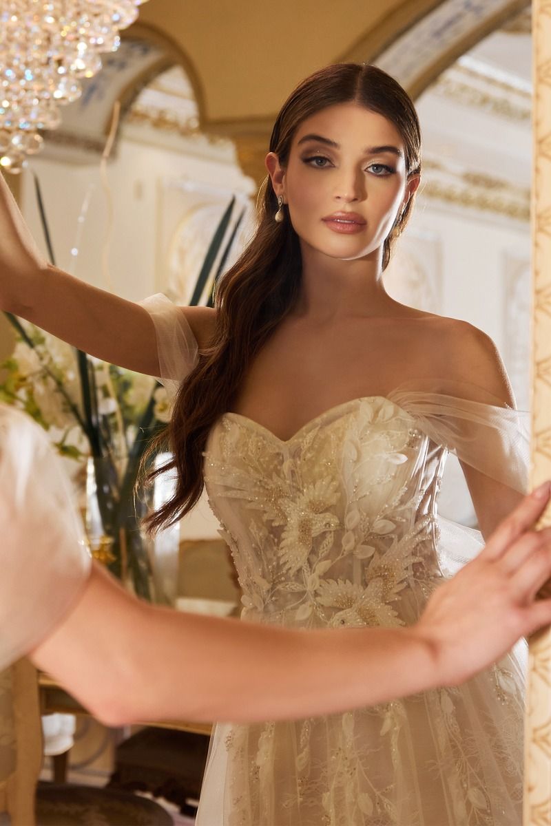 Off The Shoulder Birds Of Romance A-Line Gown