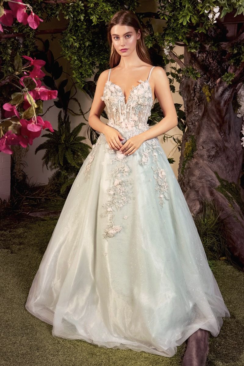 Tiana Blossom Applique Ball Gown