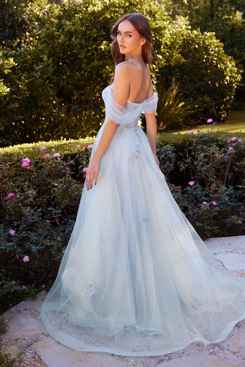 Off The Shoulder Floral Applique Ball Gown