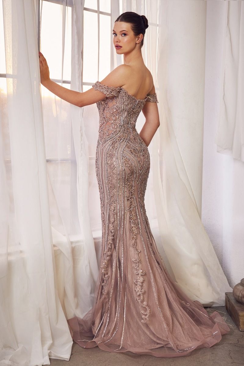 Off The Shoulder Embellished Gown