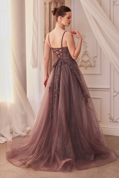 Lace Embellished A-Line Layered Tulle Gown