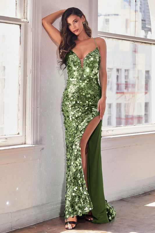 Paillette Fitted Gown