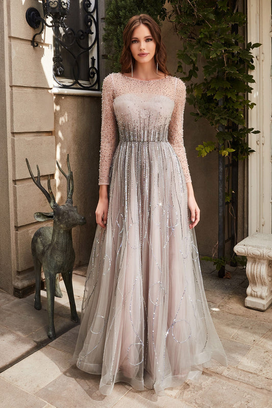 Long Sleeve A-Line Gown