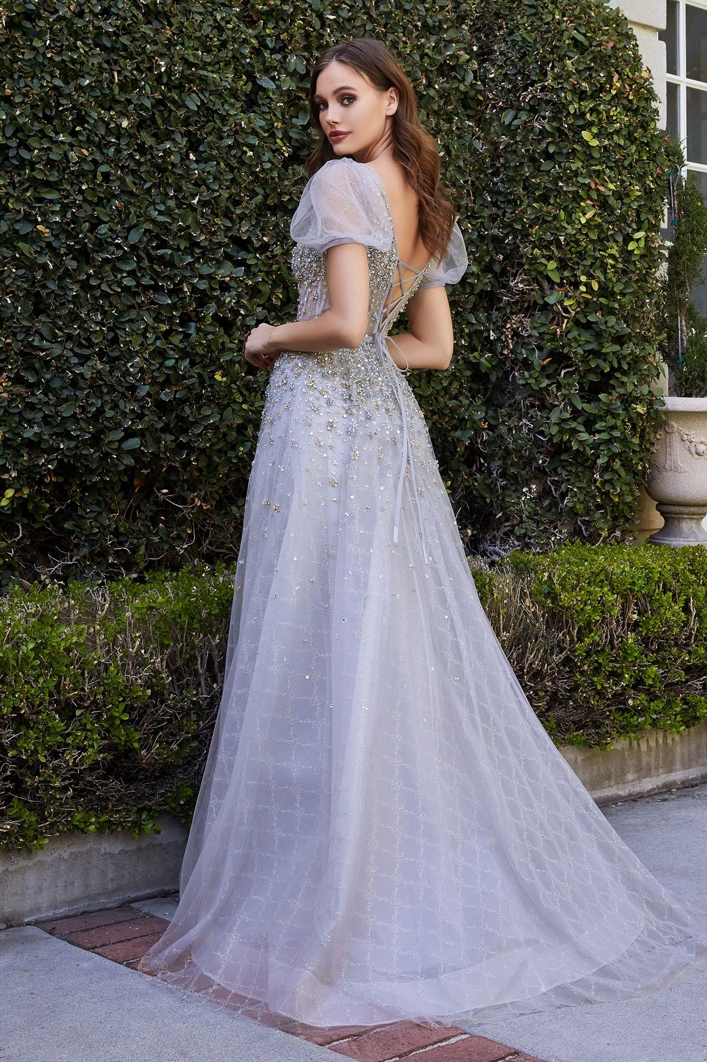 Embellished Ball Gown