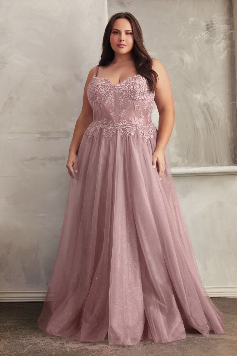 Lace A-Line Tulle Gown