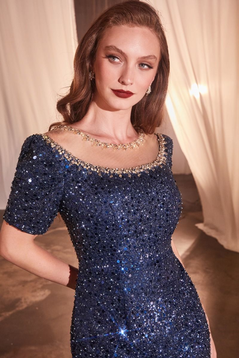 Cap Sleeve Fitted Sequin Gown