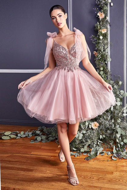 A-Line Short Tulle Dress