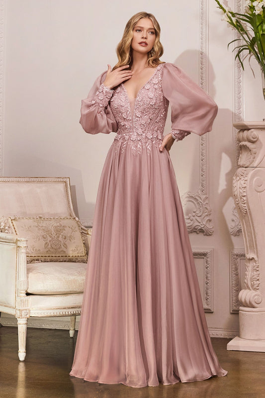 Long Sleeve Chiffon Evening Gown