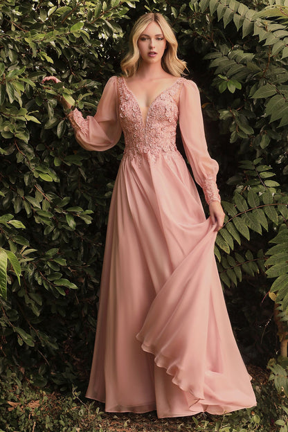 Long Sleeve Chiffon Evening Gown