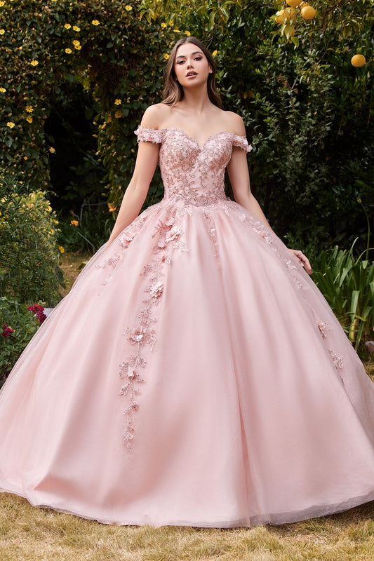 Off The Shoulder Layered Tulle Ball Gown