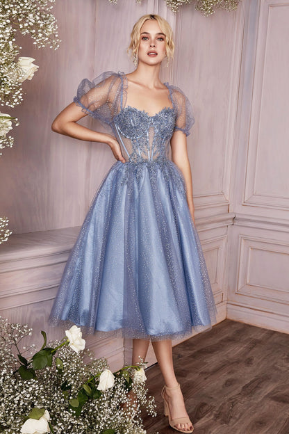 Tea Length Layered Tulle Dress