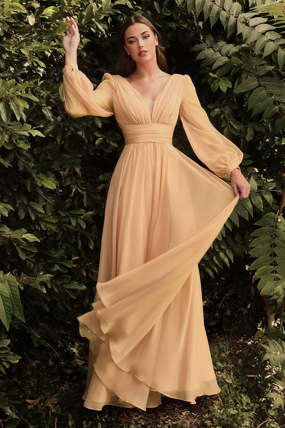 Long Sleeve Chiffon Dress