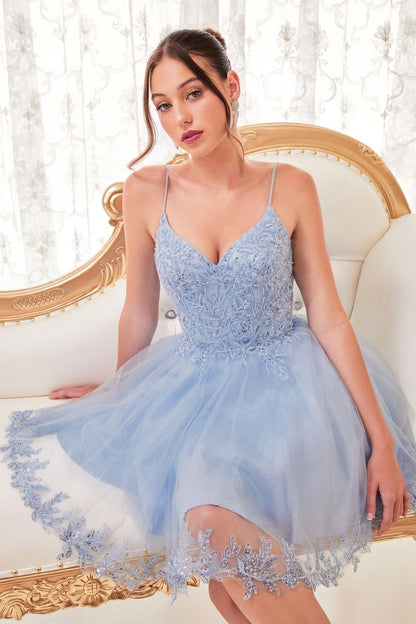 Short A-Line Lace & Tulle Dress