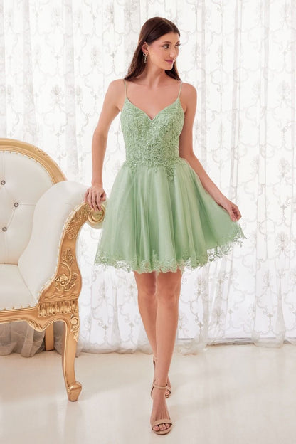 Short A-Line Lace & Tulle Dress