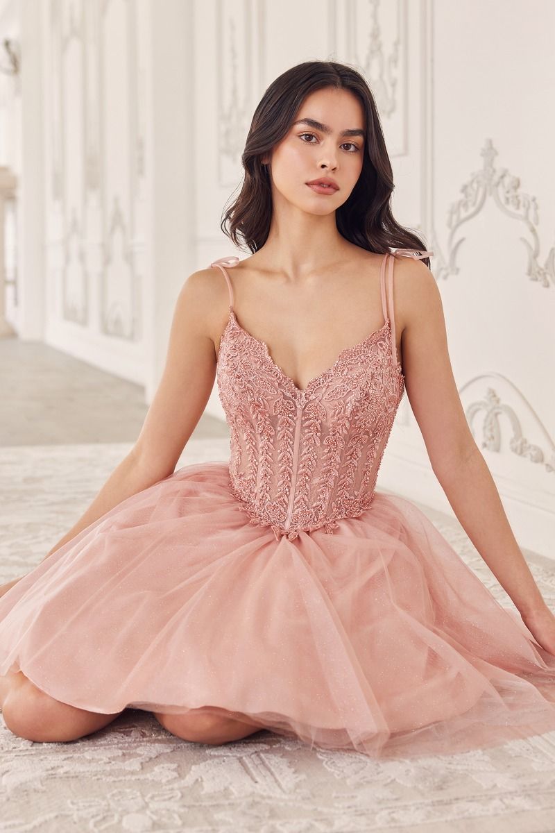 Short A-Line Tulle Dress