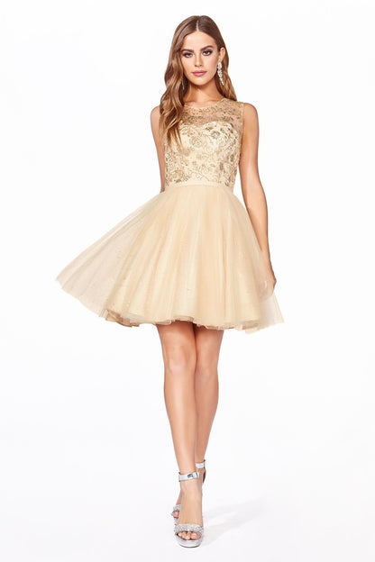 A-Line Tulle Short Dress With Glitter Detail And Illusion Neckline.