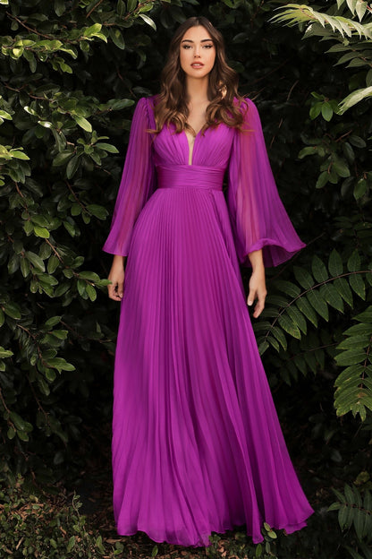 Pleated Chiffon Long Sleeve Gown