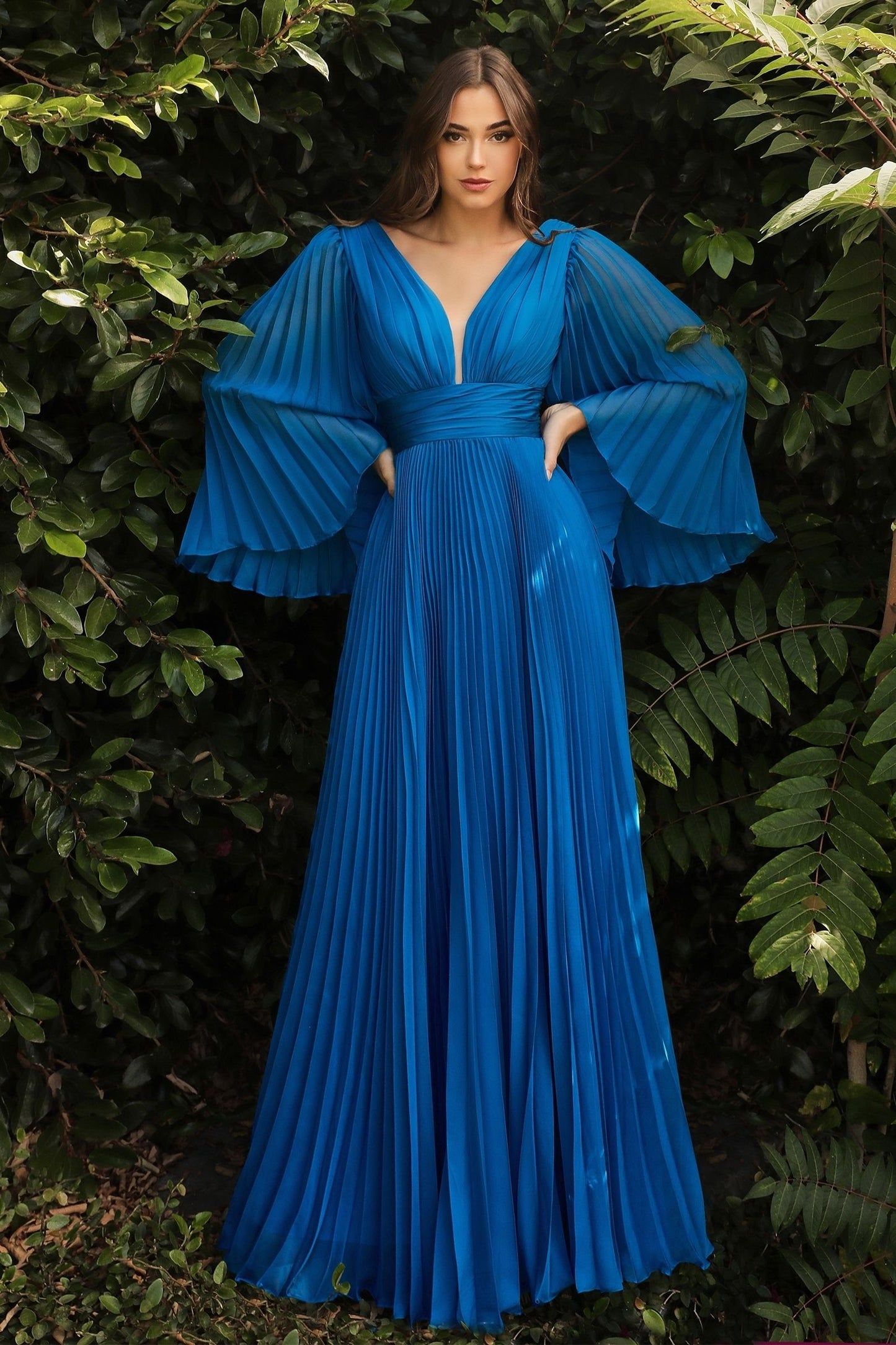 Pleated Chiffon Long Sleeve Gown