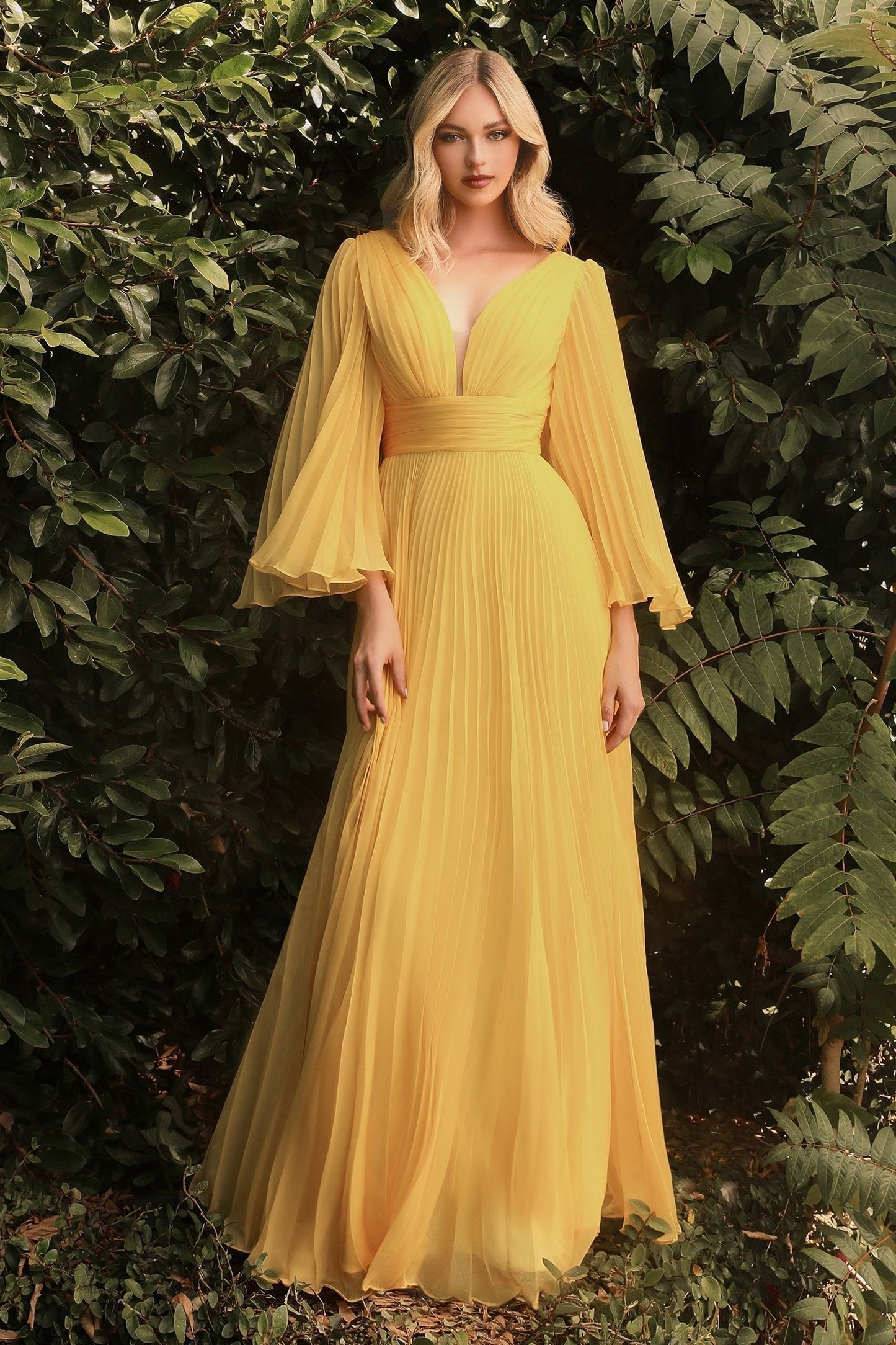 Pleated Chiffon Long Sleeve Gown