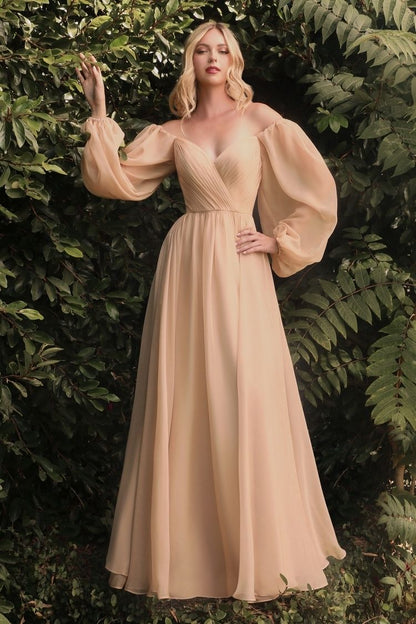 Long Sleeve Chiffon A-Line Dress