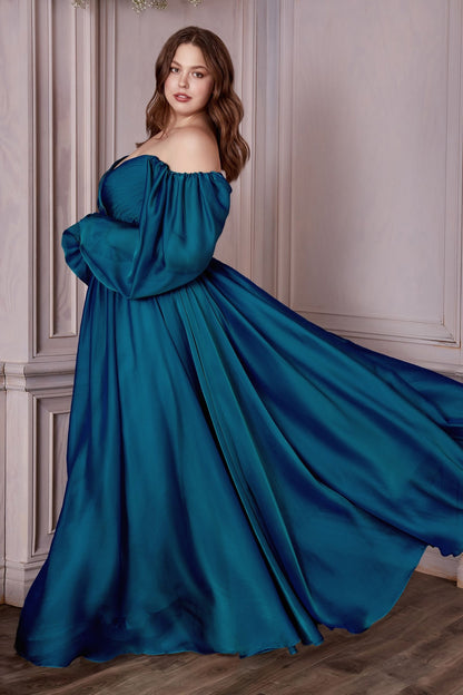 Long Sleeve A-Line Chiffon Dress