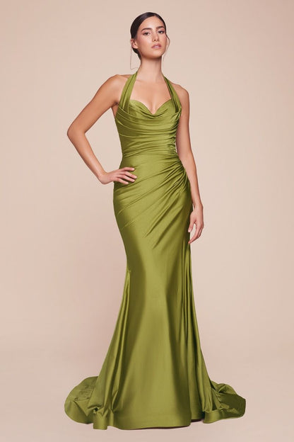 Stetch Satin Halter Fitted Dress