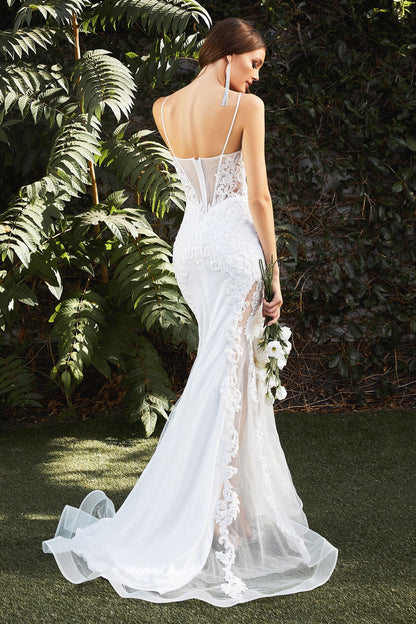 Mermaid Illusion Bridal Gown