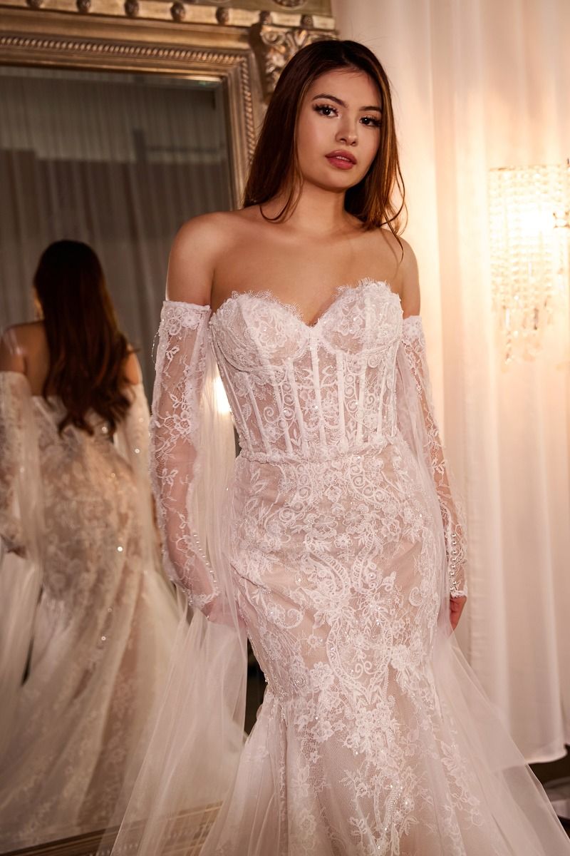 Fitted Lace Mermaid Gown With Sleeves