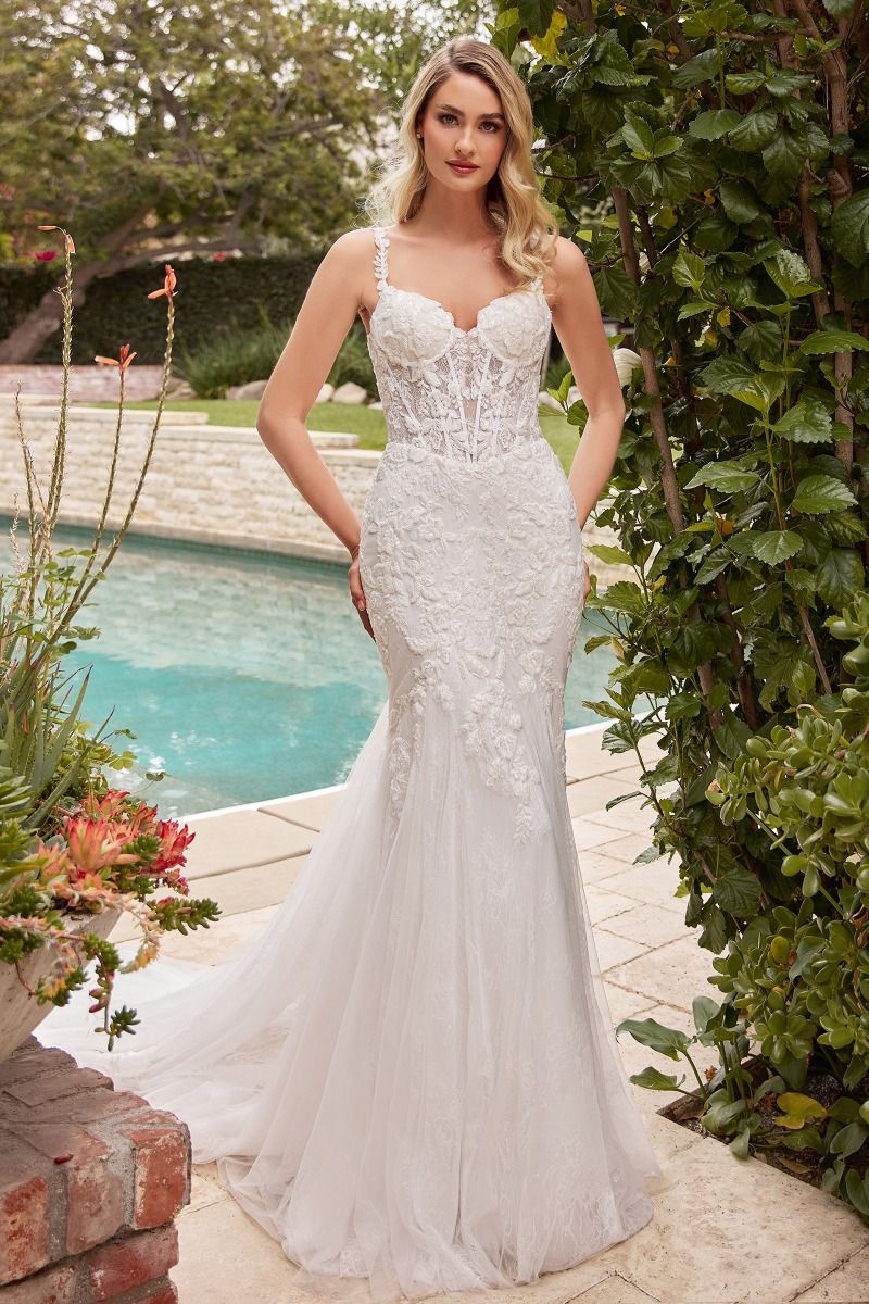 Lace Mermaid Wedding Dress