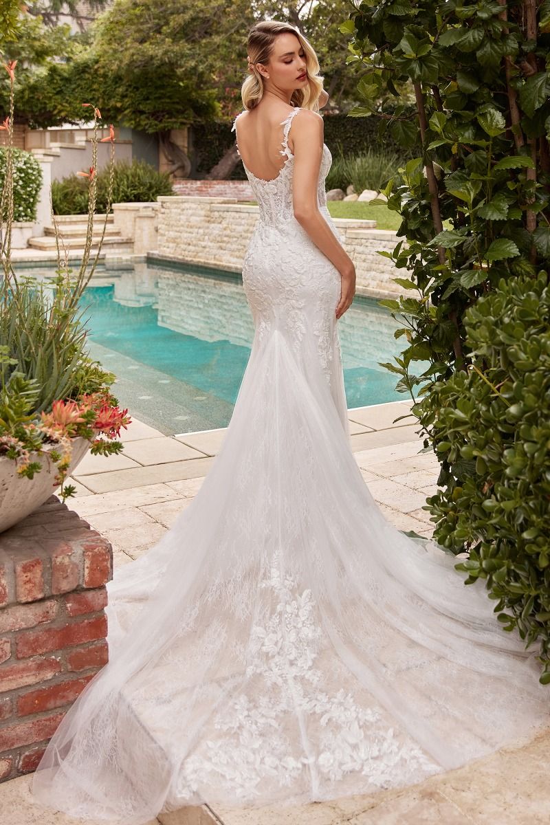 Lace Mermaid Wedding Dress