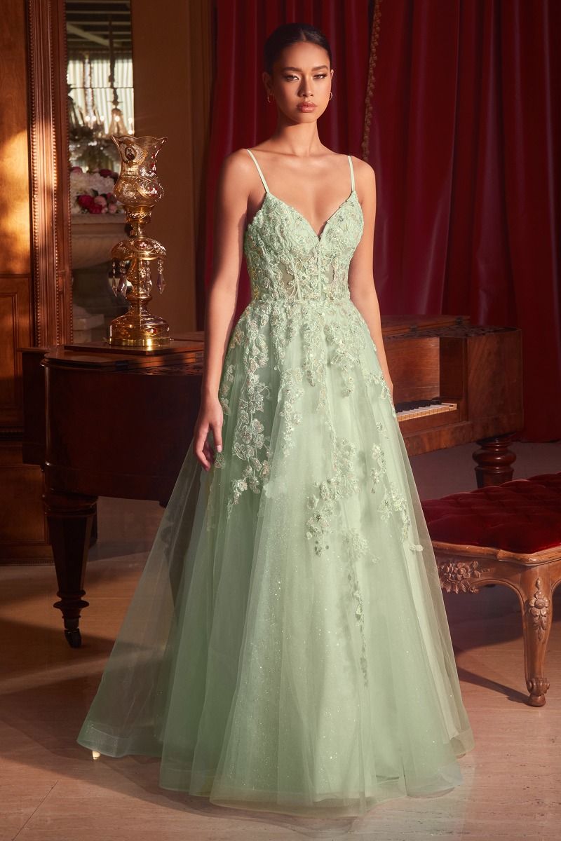 Floral Appliqued Ball Gown