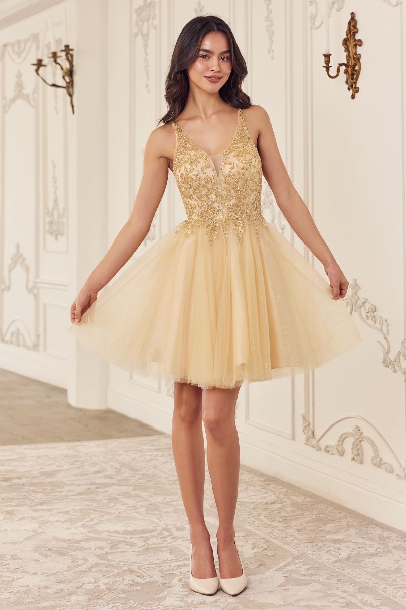 Beaded A-Line Layered Tulle Short Dress