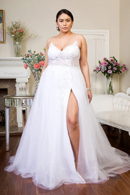 Embroidered Sheer Bodice V-Neck Wedding Gown /w Tail