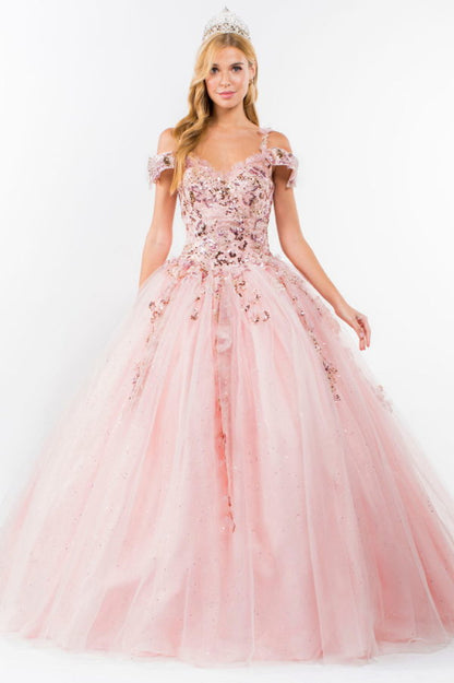 Embroidery Embellished Glitter Mesh Quinceanera Dress