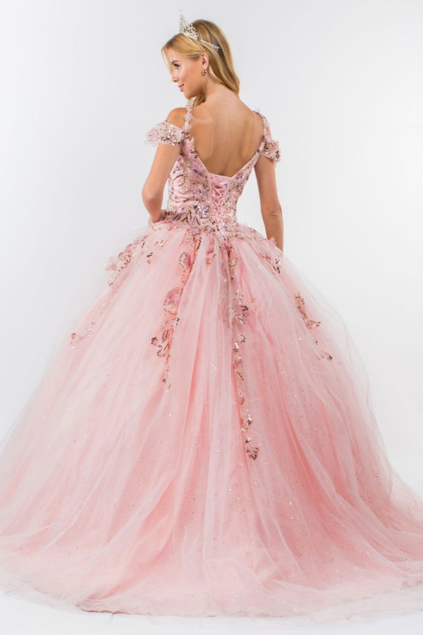 Embroidery Embellished Glitter Mesh Quinceanera Dress