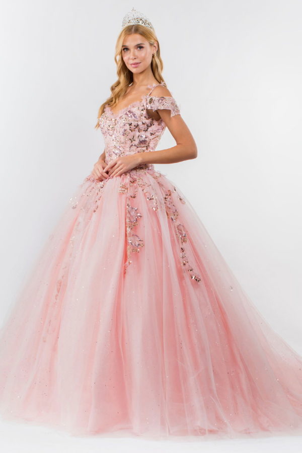 Embroidery Embellished Glitter Mesh Quinceanera Dress