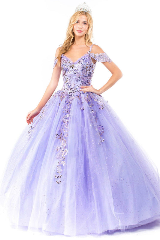 Embroidery Embellished Glitter Mesh Quinceanera Dress