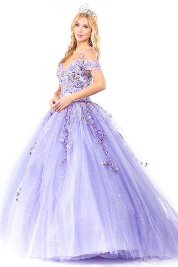 Embroidery Embellished Glitter Mesh Quinceanera Dress