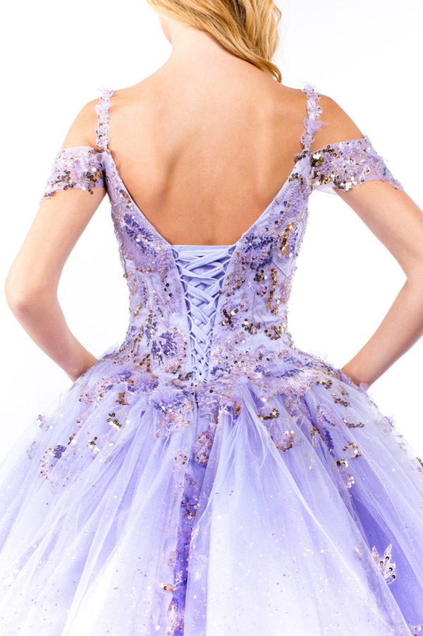 Embroidery Embellished Glitter Mesh Quinceanera Dress