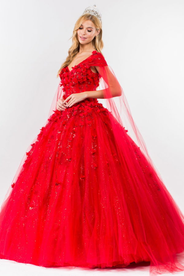 3D Floral Applique Glitter Mesh Quinceanera Dress w/ Detachable Cape Sleeve