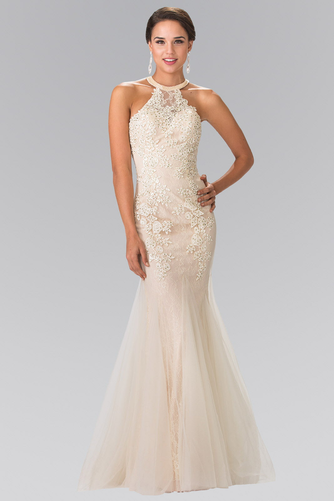 Beaded Lace and Tulle Long Dress